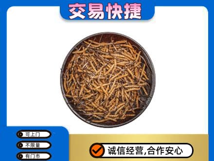 宜春市回收散虫草
